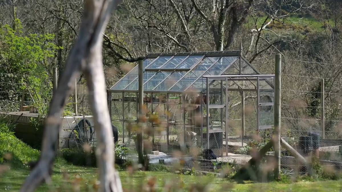 Gill's Rhino greenhouse in spring