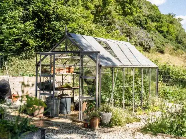 Gill's Rhino Premium Greenhouse with Roof Blinds