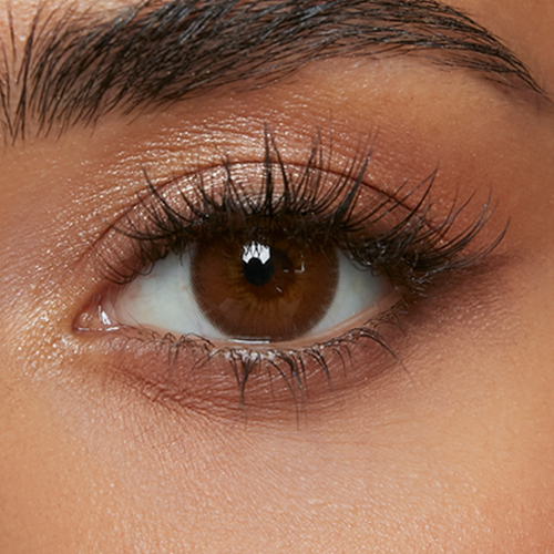 Sunset Brown (1-Day)