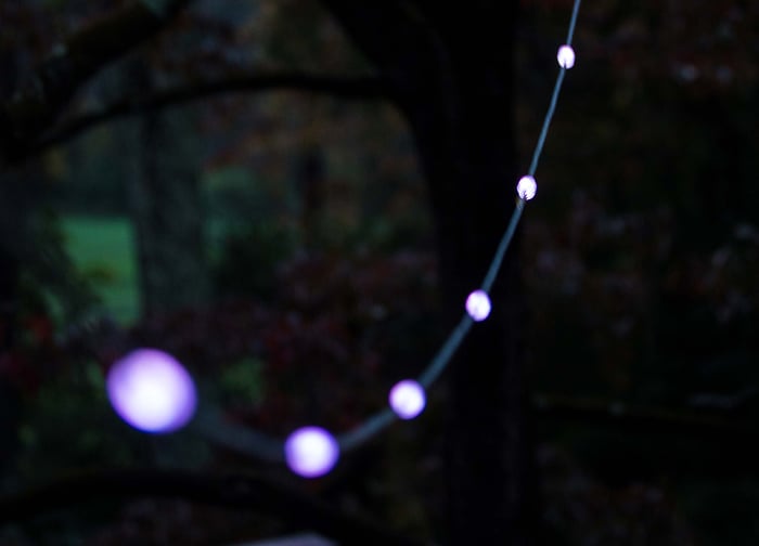 A string of purple lights glowing softly against a dark, blurred background of trees.