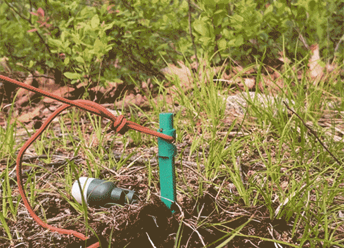 A green stake is secured with an orange cord in grassy soil, with a small device nearby.