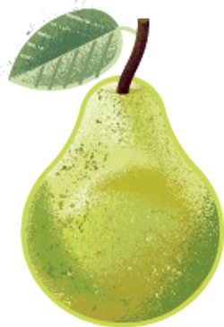 Pear Fruit Puree 120g