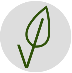 Vegan.png?v=0&options=