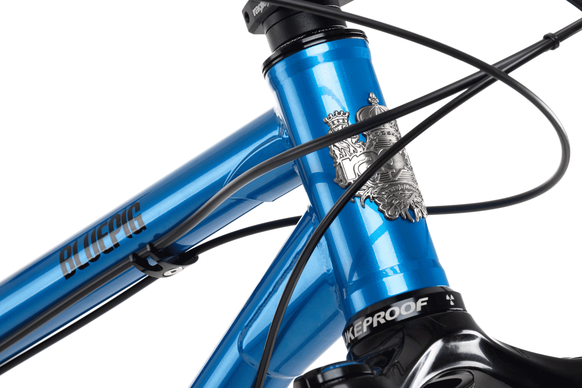 Ragley blue outlet pig race 2021