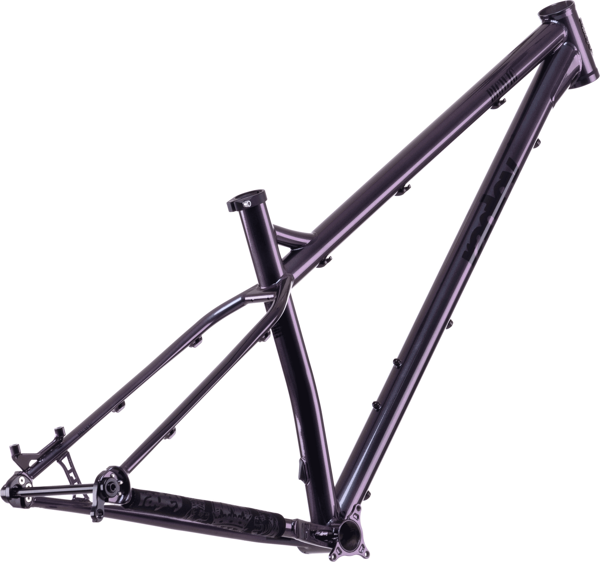 Big Wig Hardtail Frame 2021 ragleybikes