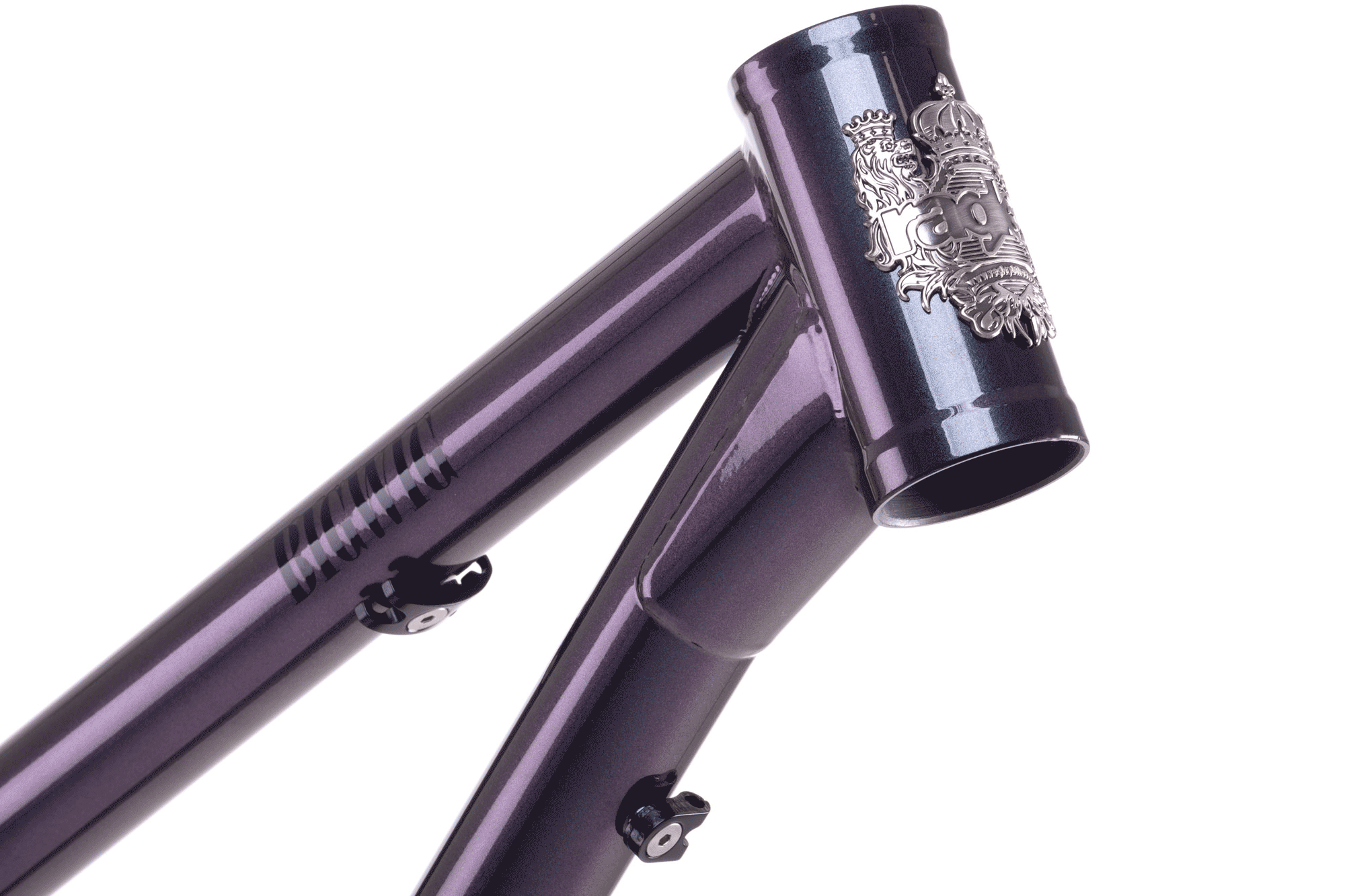 Big Wig Hardtail Frame 2021 ragleybikes