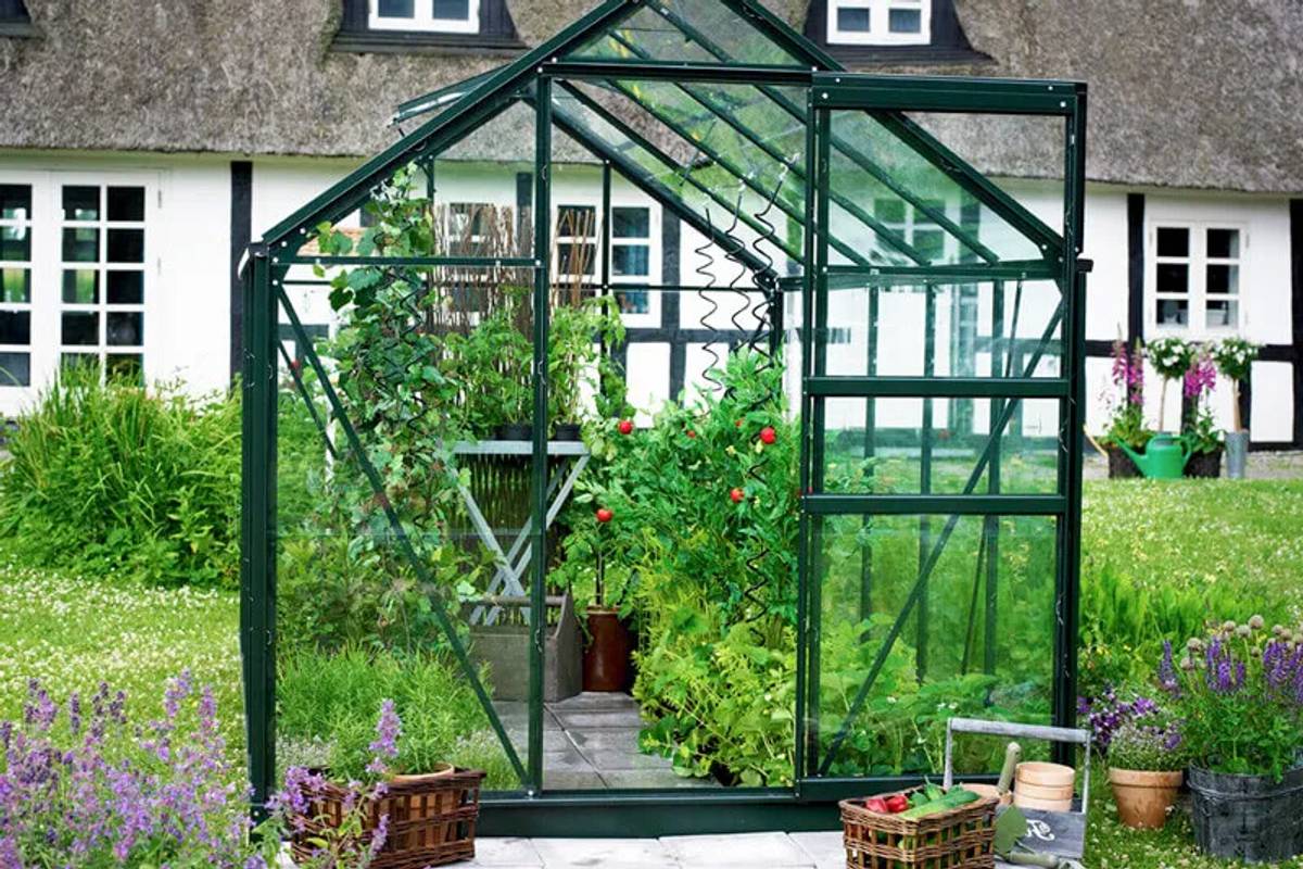 Greenhouse in front of thatched property