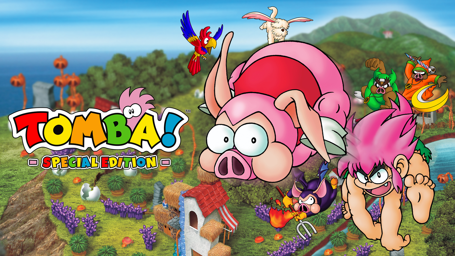 TOMBA! - SPECIAL EDITION CLASSIC EDITION SWITCH USA NEW Game In Englishfrancaisdeesit Limited Run 245 0810148575861 TOMBA! - SPECIAL EDITION CLASSIC EDITION SWITCH USA NEW Game In Englishfrancaisdeesit Limited Run 245 0810148575861