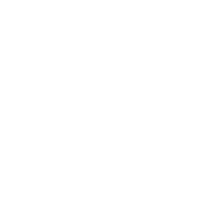 GT_TSA_Lock_Icon_00F