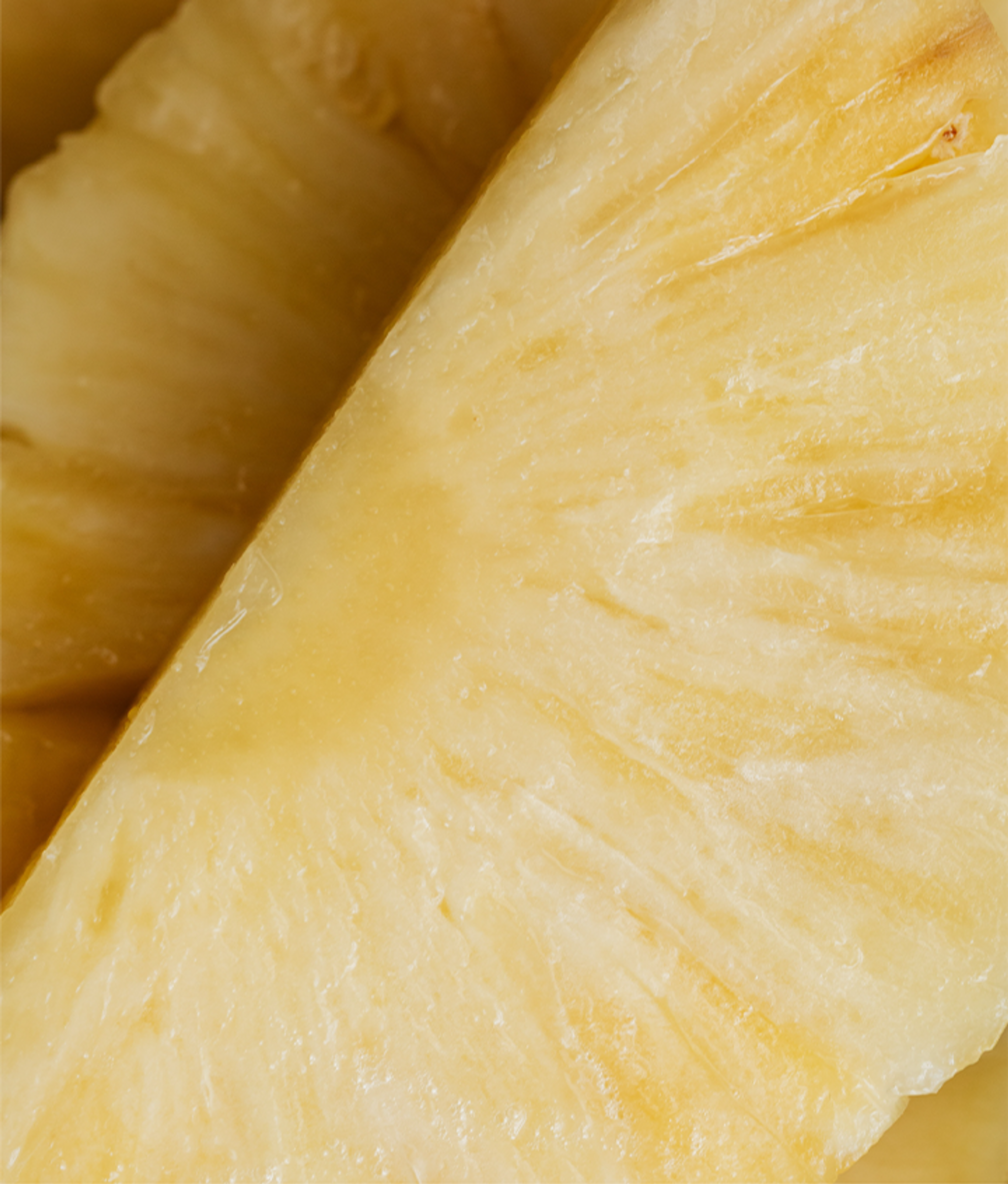 CHA Tropical Green Tea (12oz Can - 12 Pack)