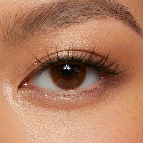 Manhattan Brown (1-Day)