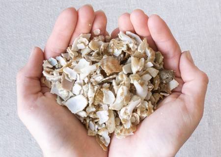 Crushed Welk Shells by Leaf Envy