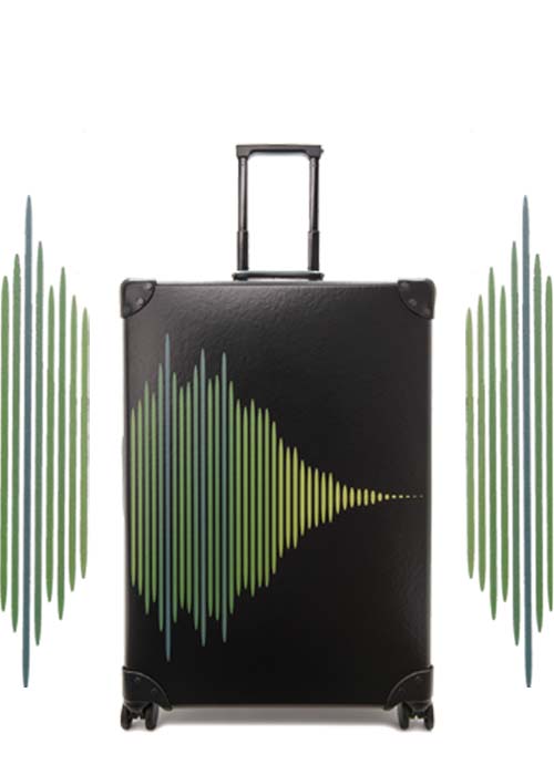 globe_trotter_amf1amr24_check_in_lid