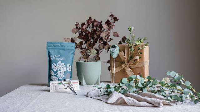 Windsor Sage Green Planter - Leaf Envy