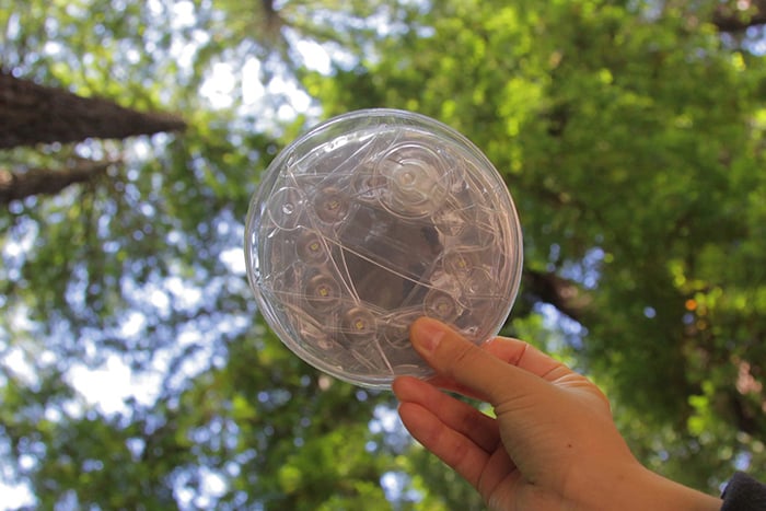 A hand holds a transparent circular object against a backdrop of green trees and blue sky.