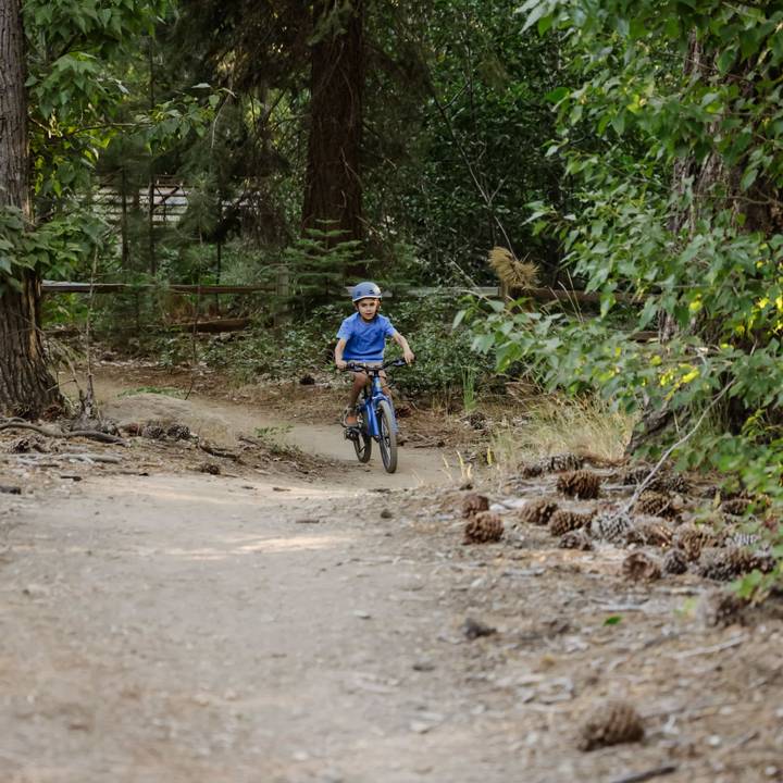 A young boy rides a blue Dart 20” Kids 7 Speed Bike along a dirt path, surrounded by greenery and sunlight filtering through the trees.