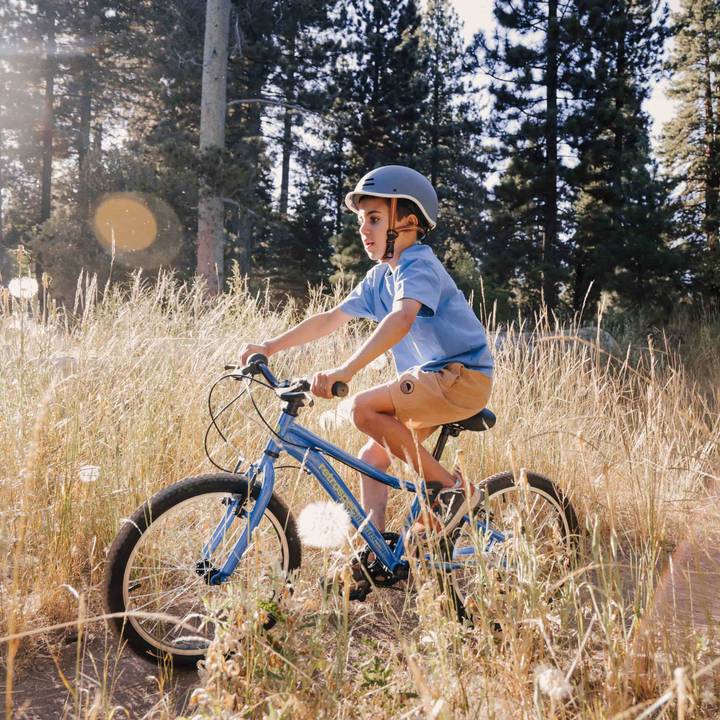 A child riding a blue Dart 20” Kids 7 Speed Bike along a trail in the woods, with vibrant natural scenery around him.