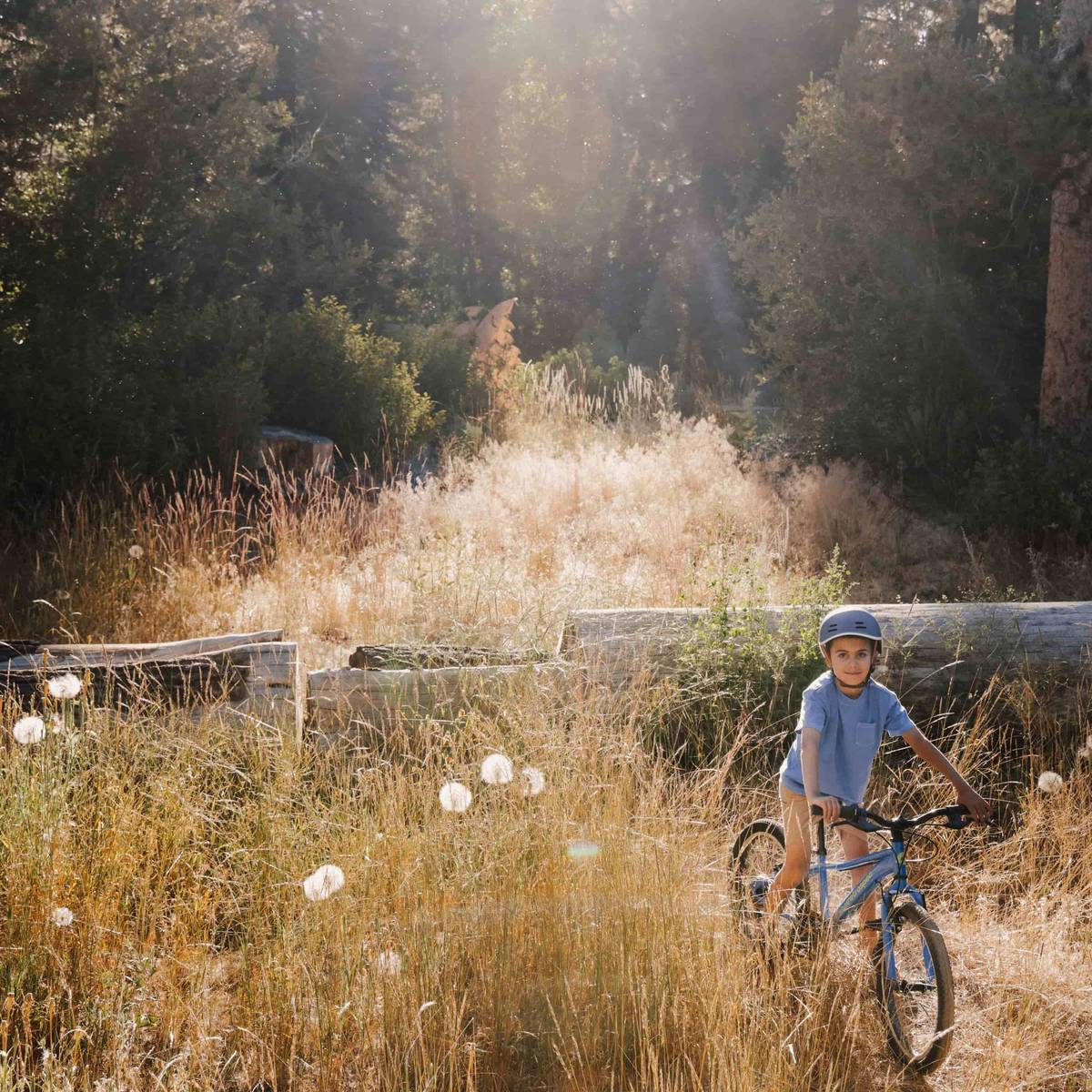 A young boy rides a blue Dart 20” Kids 7 Speed Bike through tall grass, enjoying a sunny day in a vibrant outdoor setting.