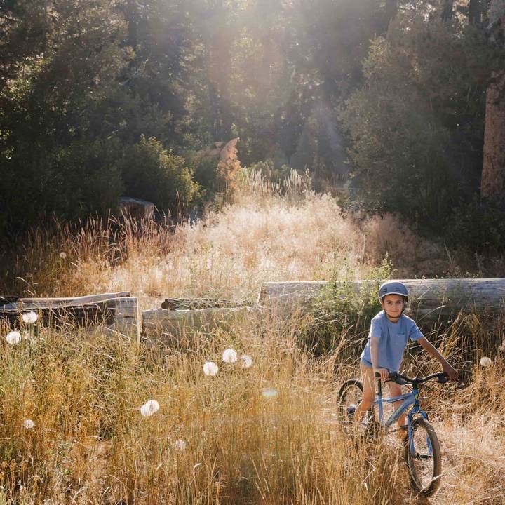A young boy rides a blue Dart 20” Kids’ 7 Speed Bike through tall grass, enjoying a sunny day in a vibrant outdoor setting.