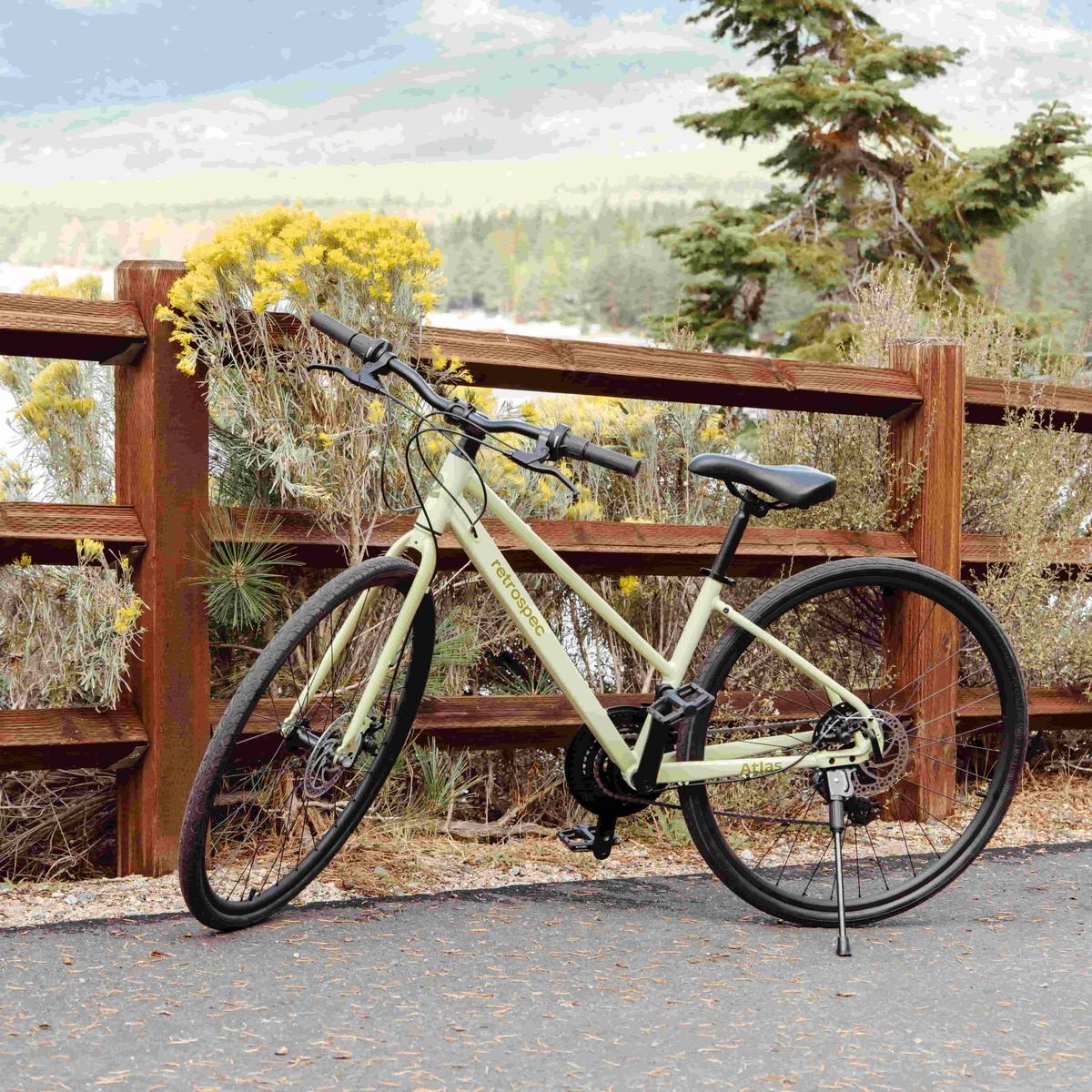 A pale green bicycle rests against a wooden fence, surrounded by wildflowers and pine trees, with a scenic view in the background.