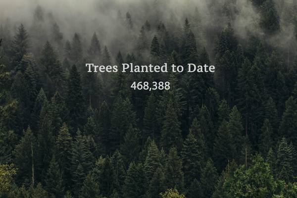 Planting out of poverty
