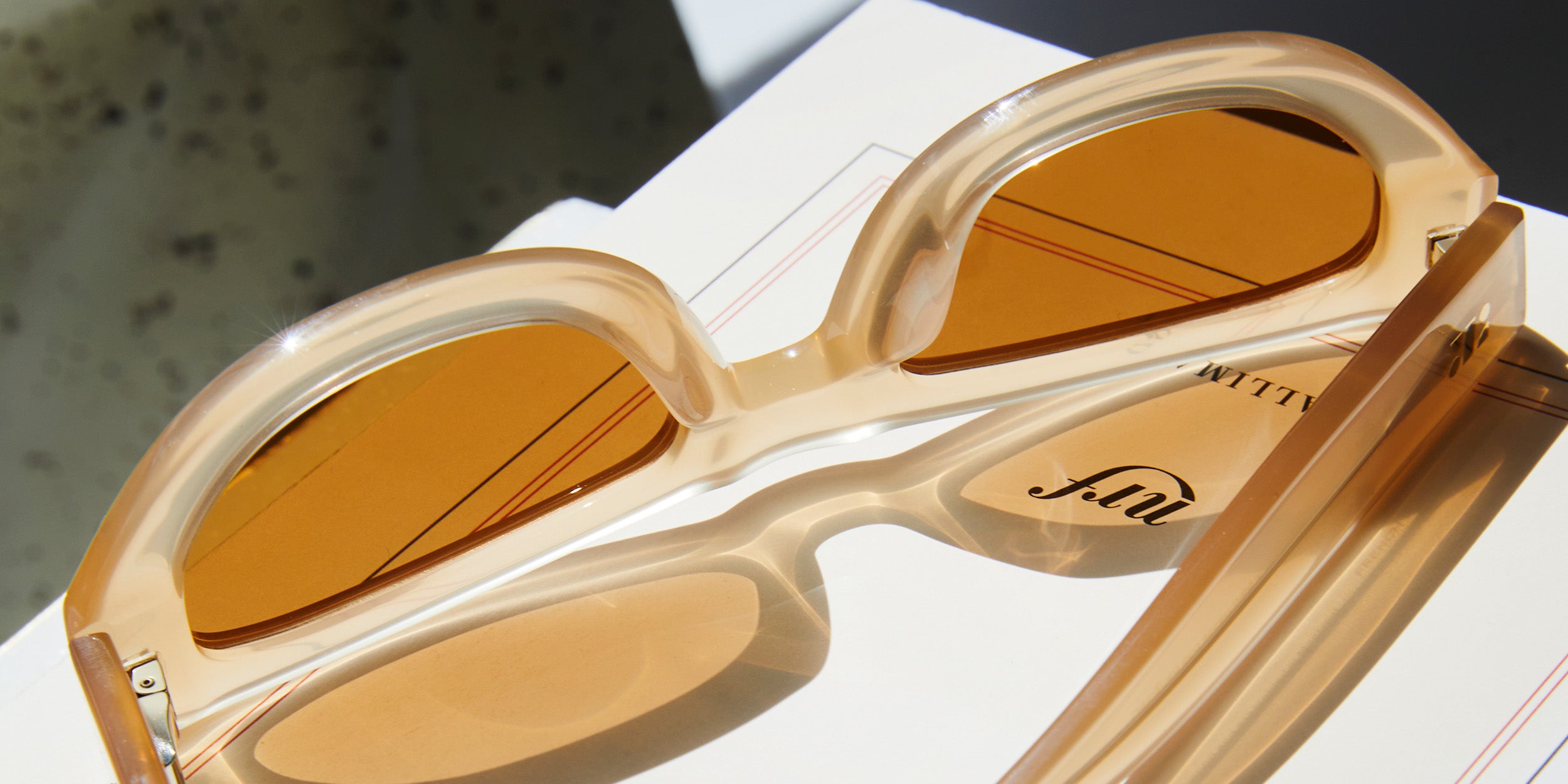 Photo Details of Estelle Sun Dark Tortoise Sun Glasses in a room