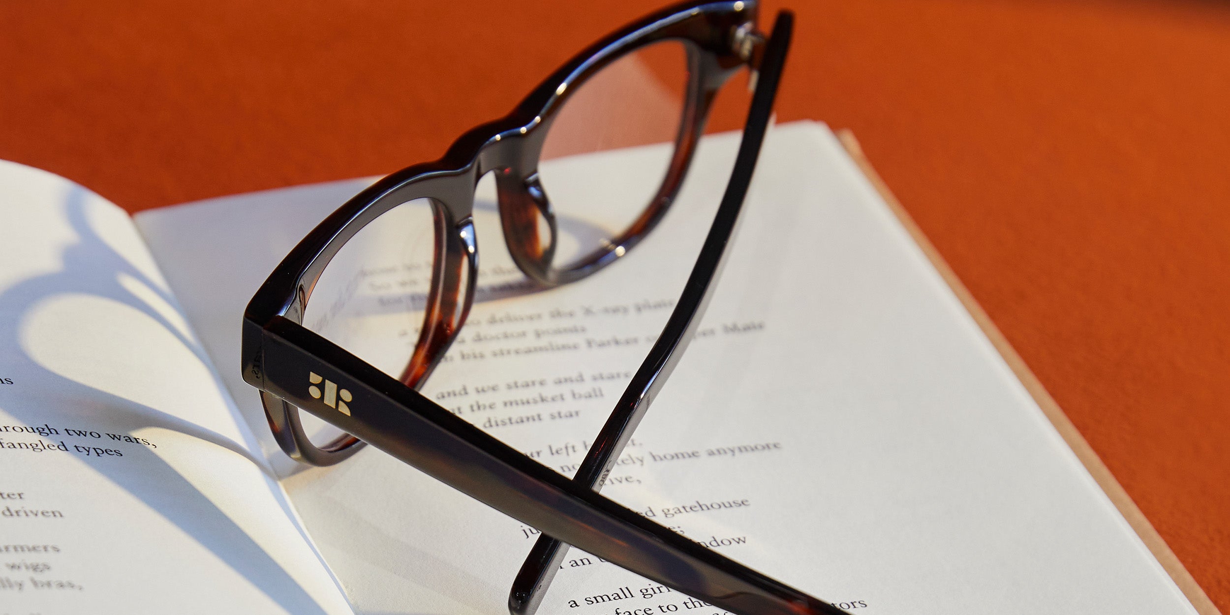Photo Details of Francis Dark Tortoise Reading Glasses in a room