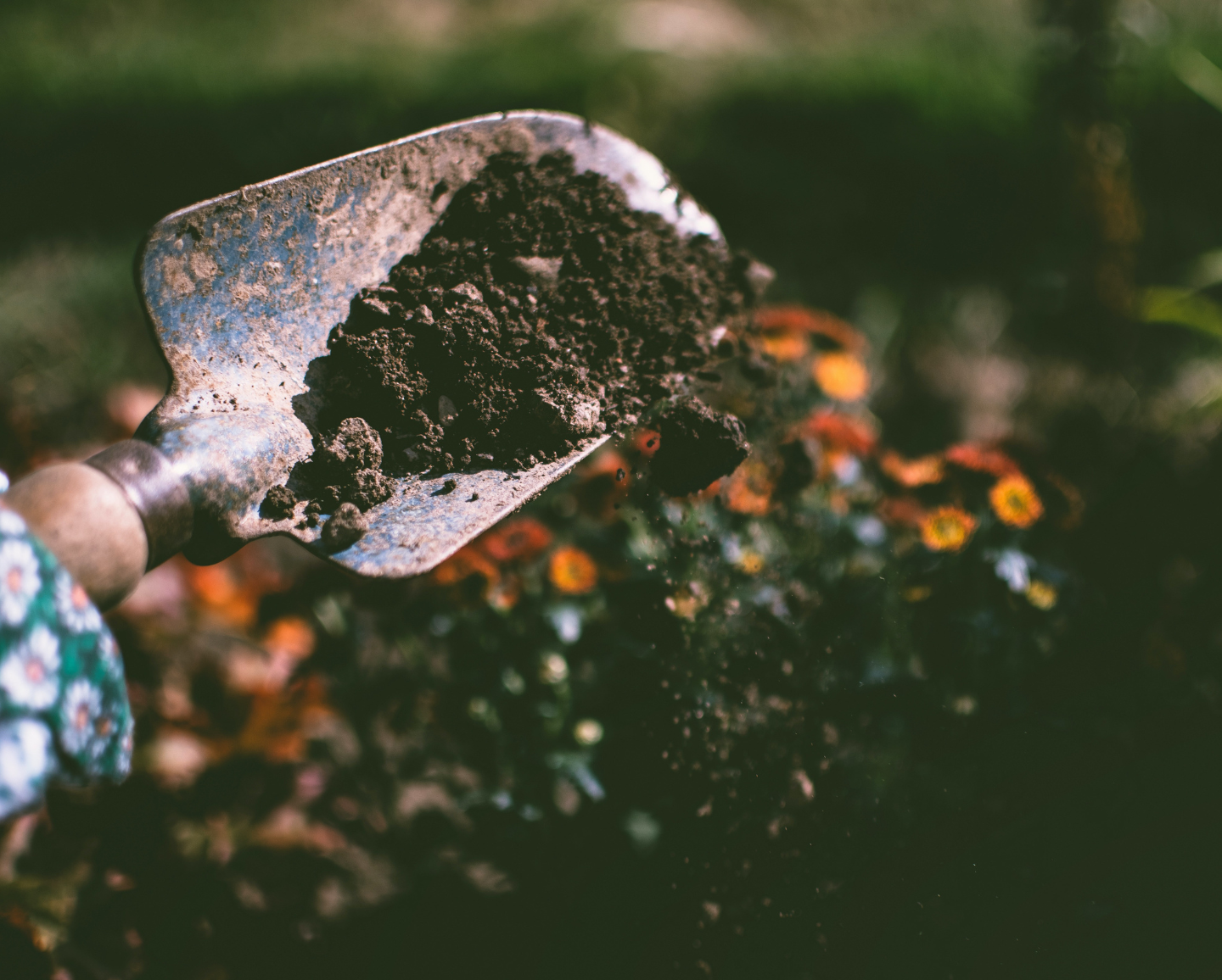 Compost with EvenGreener