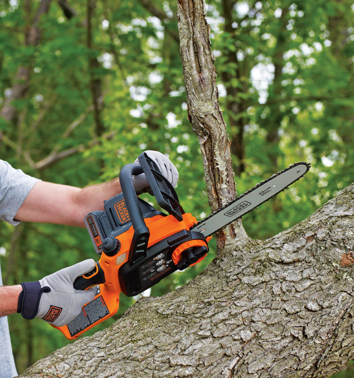 20V Max* Cordless Chainsaw Kit, 10-Inch