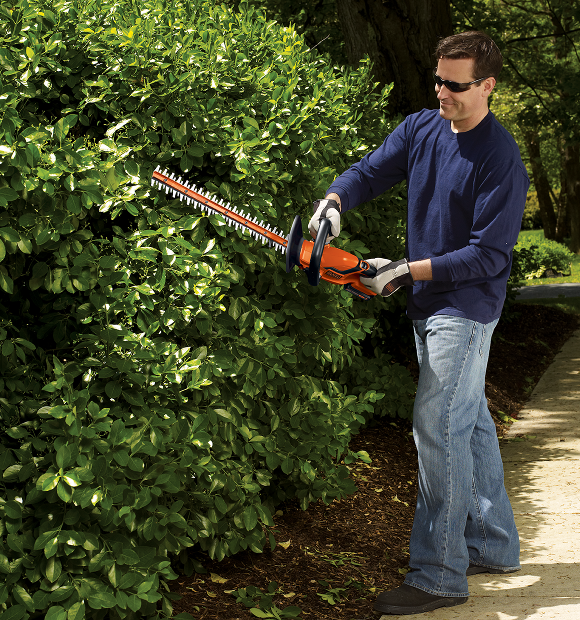 20 Volt 22 inch Hedge Trimmer being used by a person on a bush.