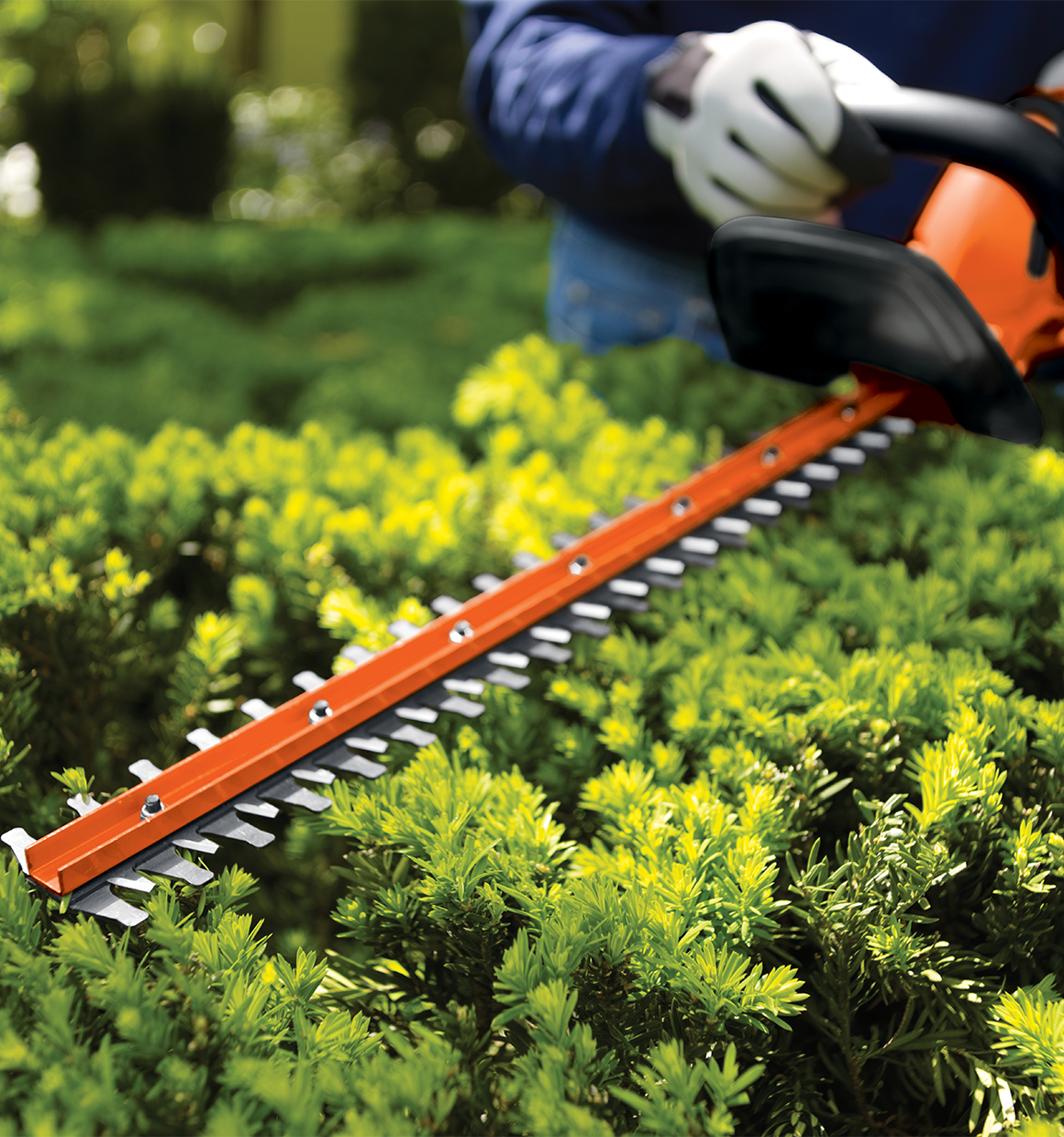 20V Max* Cordless Hedge Trimmer, 22-Inch