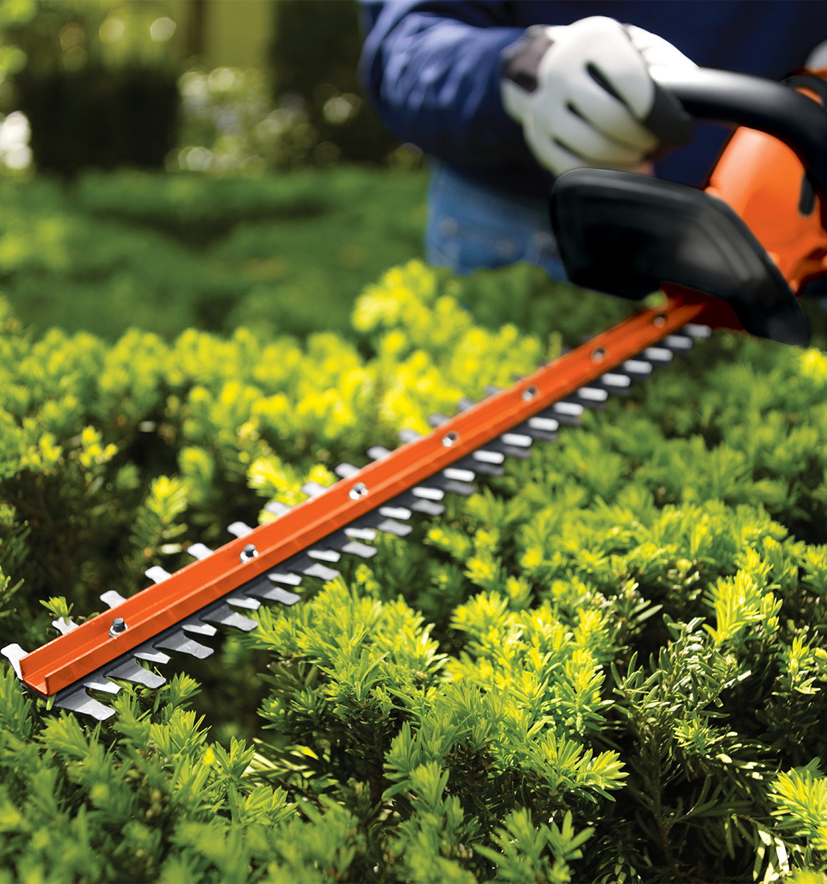 Dual action blades feature of Lithium 22 inch Hedge Trimmer.
