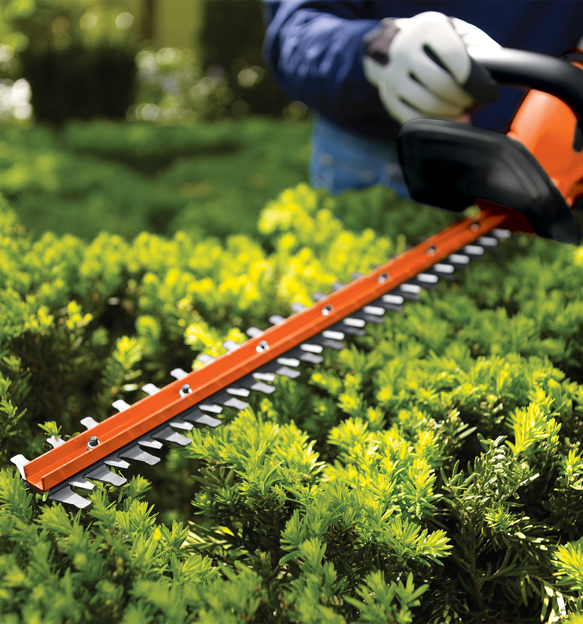 Dual action blades feature of Lithium 22 inch Hedge Trimmer.
