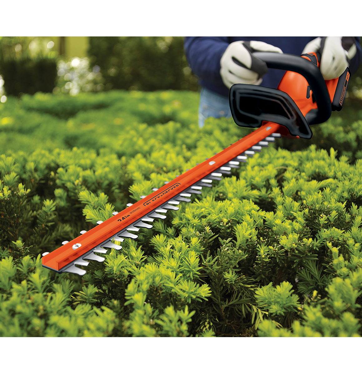 Dual blade feature of a lithium 24 inch hedge trimmer.