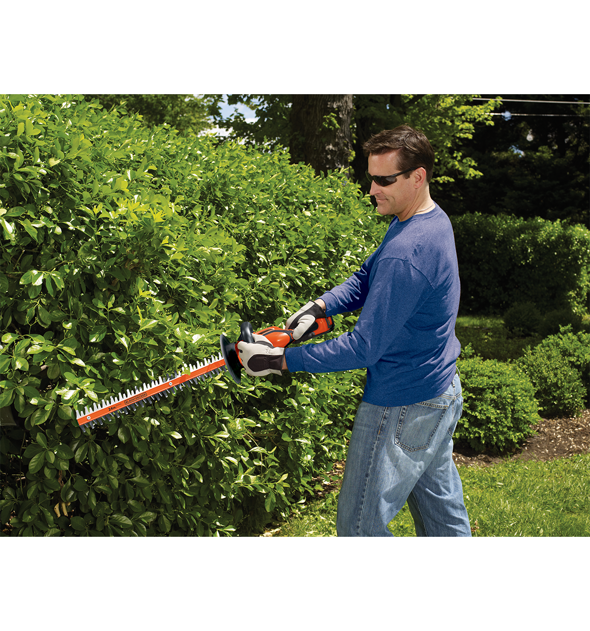 BLACK+DECKER LHT2436 40V MAX* Lithium-Ion 24 Cordless Hedge Trimmer,  Battery and Charger Included