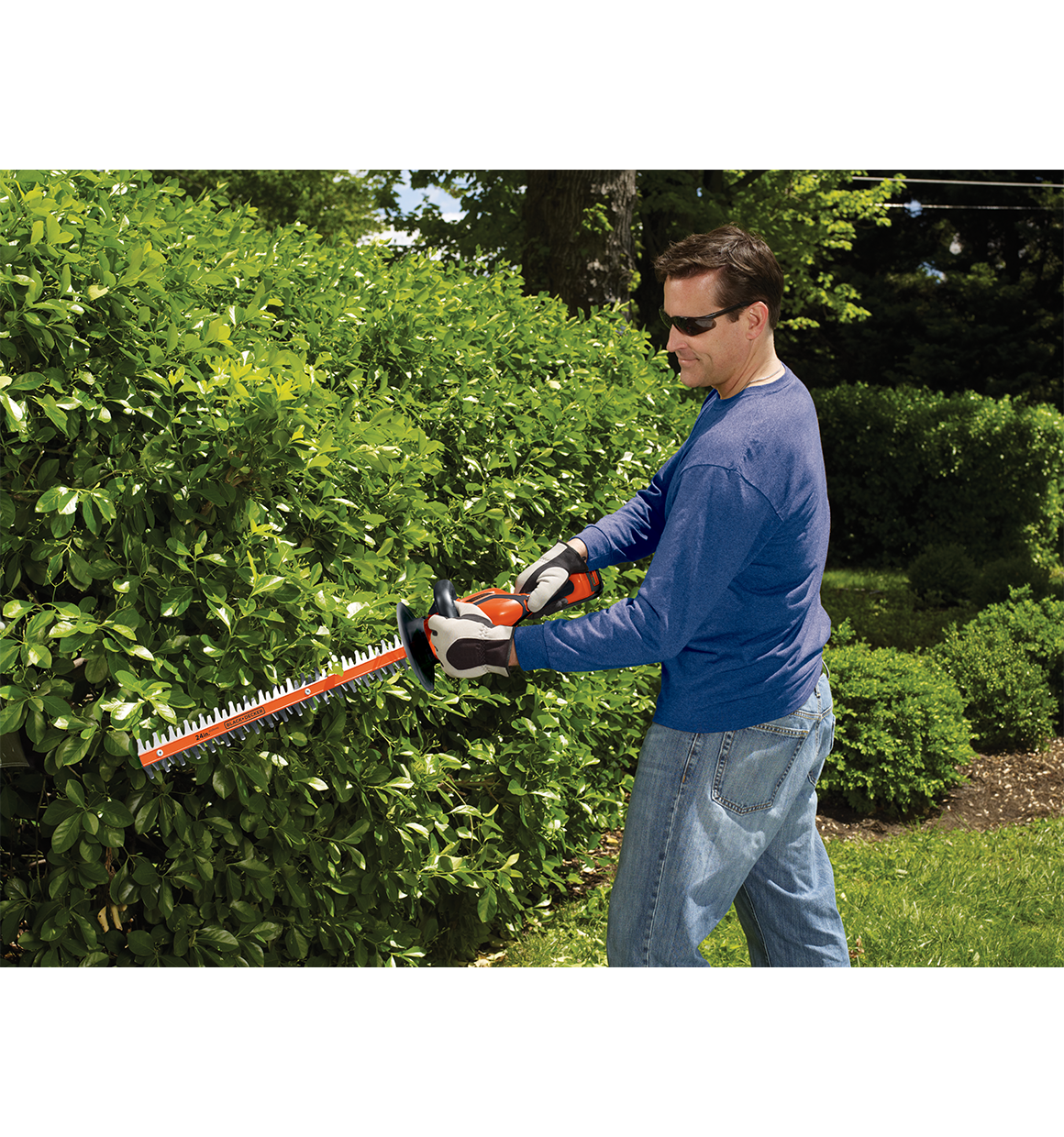 Lithium 24 inch Hedge Trimmer being used by person to trim bushes.