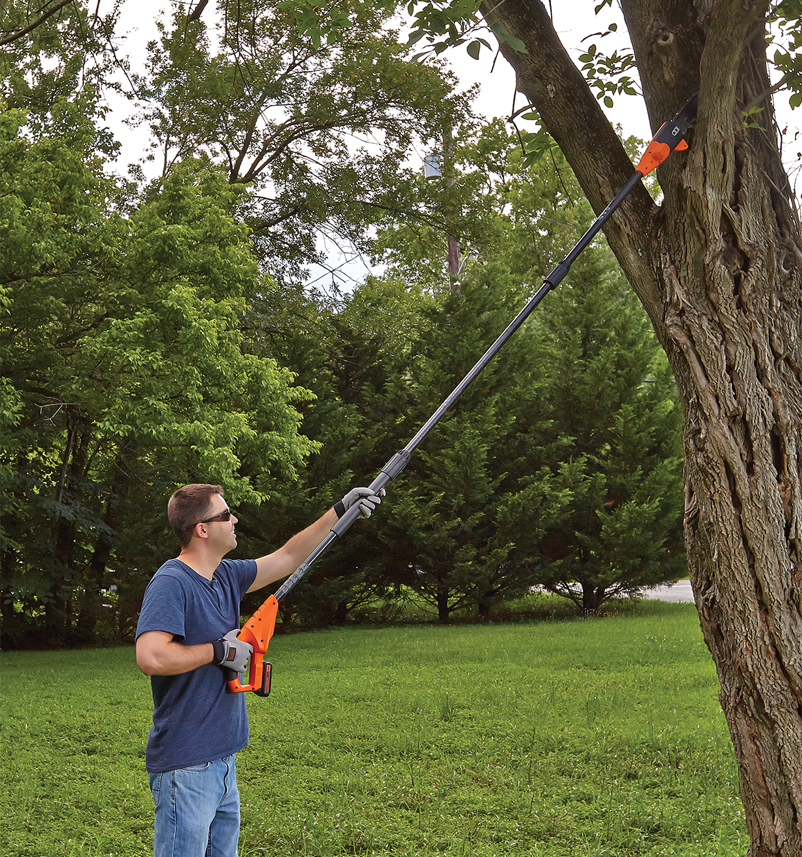 Lithium pole pruning saw being used by a person to cut high branch of tree.