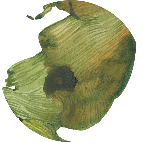 Wakame Bioferment Advanced