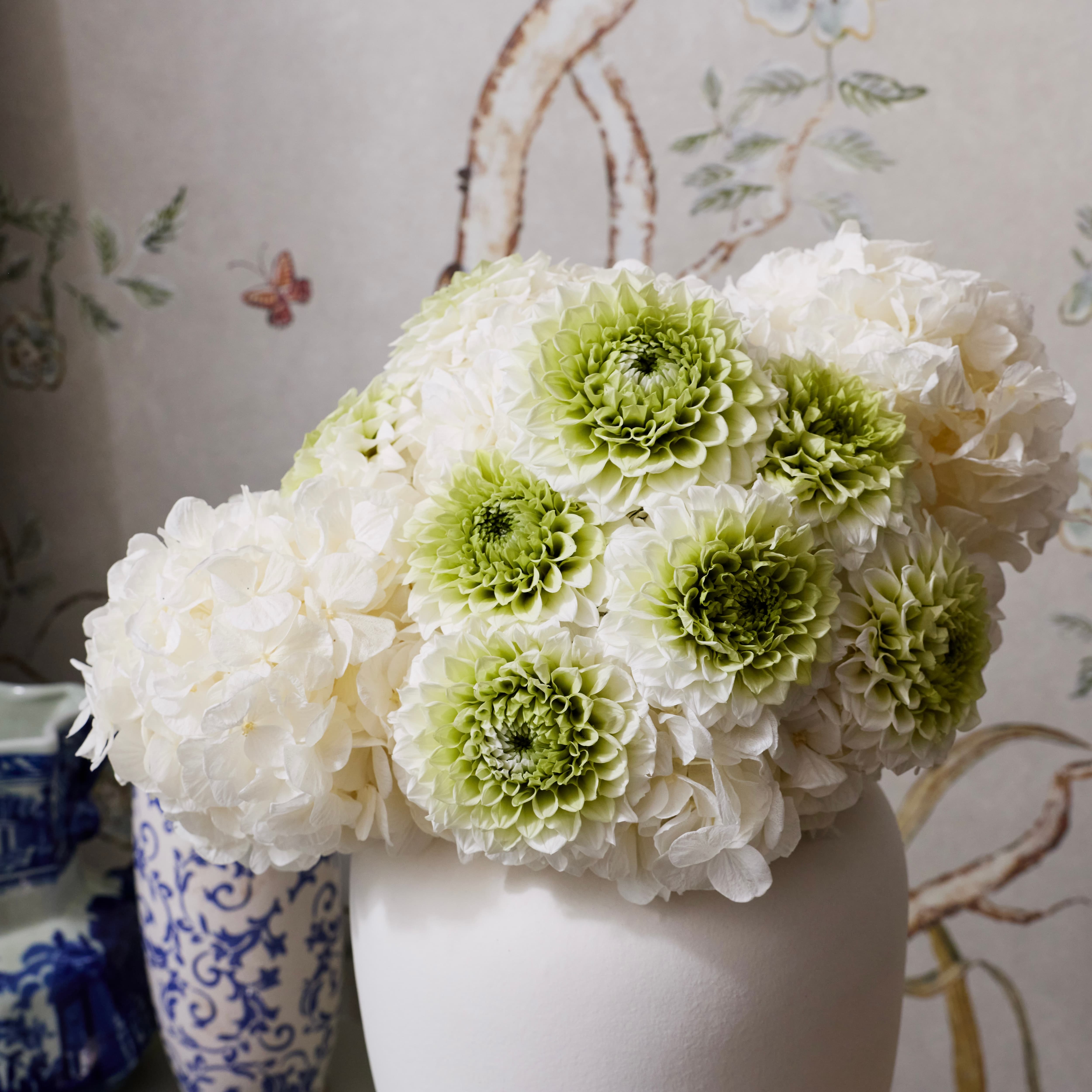 Grand Venus | Preserved Hydrangeas & Dahlias | Venus et Fleur