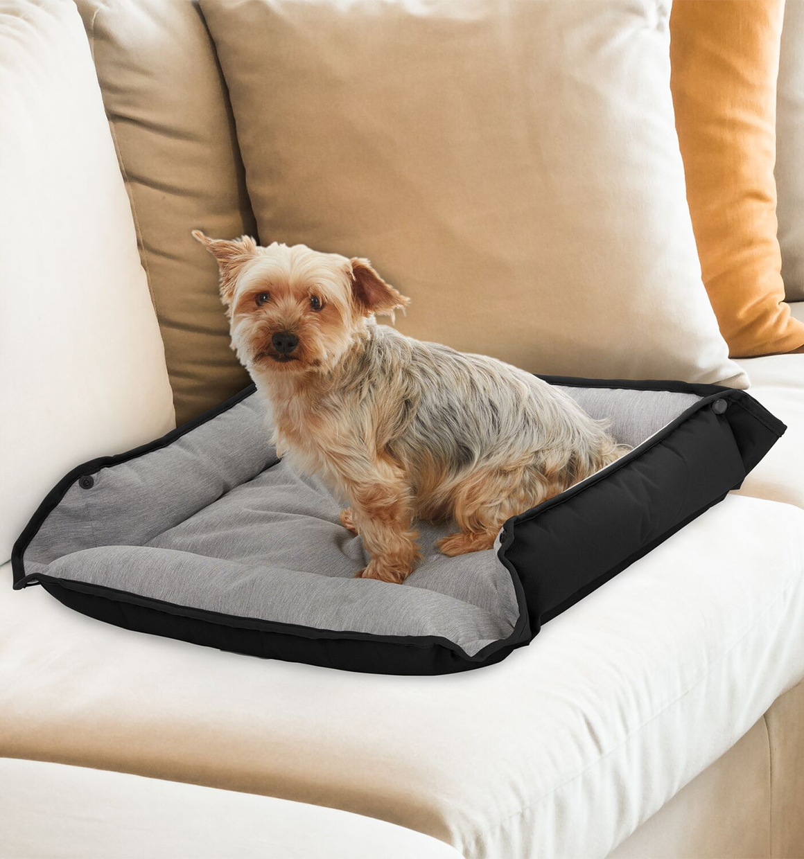 Small dog sitting next to open grey, Black and Decker Four Way Snap Pet Bed