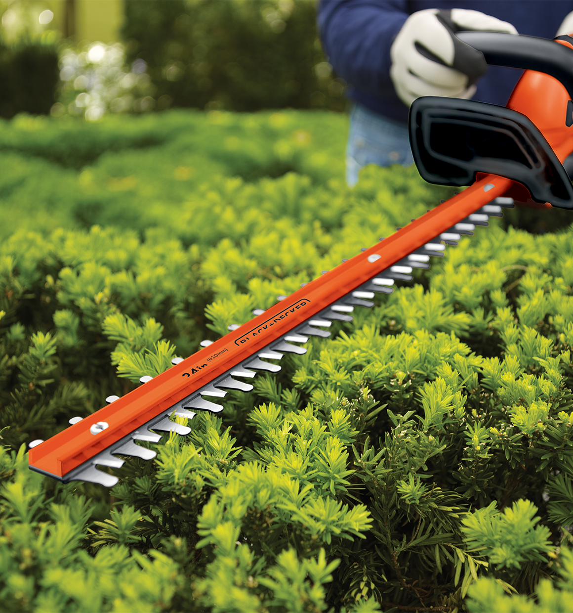  BLACK+DECKER 36V MAX Cordless Hedge Trimmer, 24-Inch, Tool  Only with Easy-Fit All Purpose Glove (LHT2436B & BD505L) : Patio, Lawn &  Garden