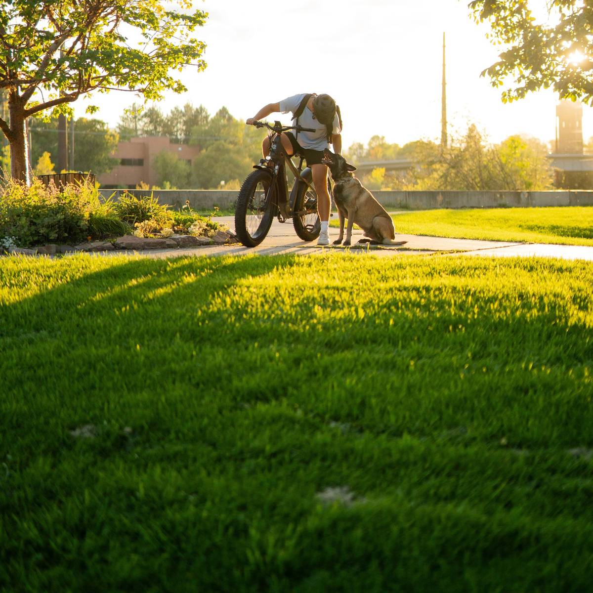 A person bends over their Koa Rev+ 2 Fat Tire Electric Bike, affectionately interacting with a brown dog in a sunlit park, surrounded by green grass and trees.