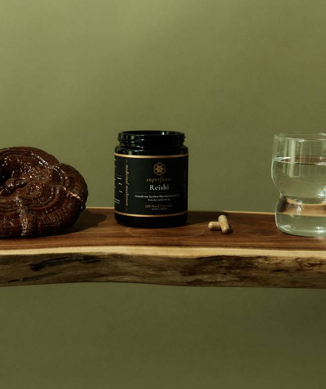 Reishi Capsules