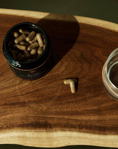 Reishi Capsules