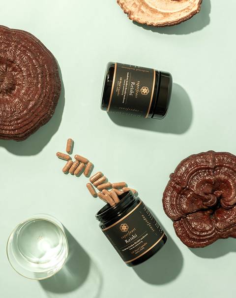 Reishi Capsules