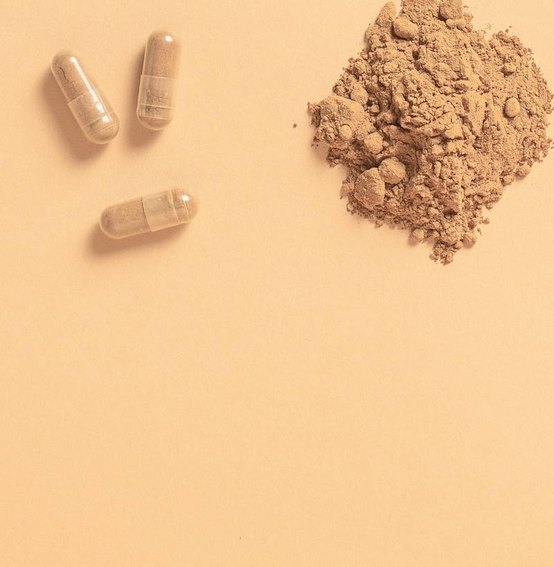 Reishi Capsules