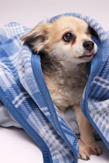 Blue Frost Plaid Midi Blanket
