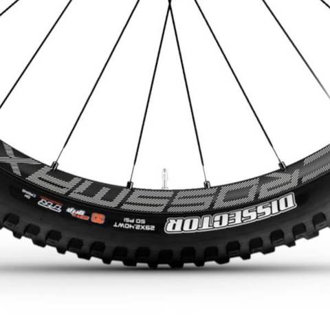 Haibike Lyke CF SE 2024 Maxxis Dissector Tyres