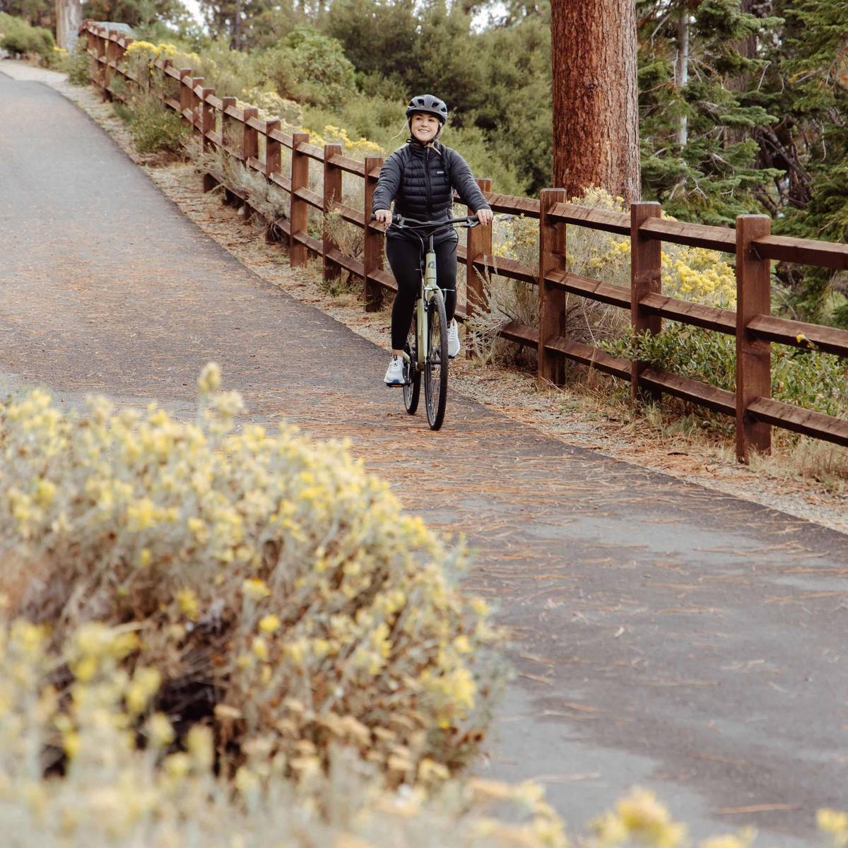 Person cycling on a paved path with greenery and wooden fence.