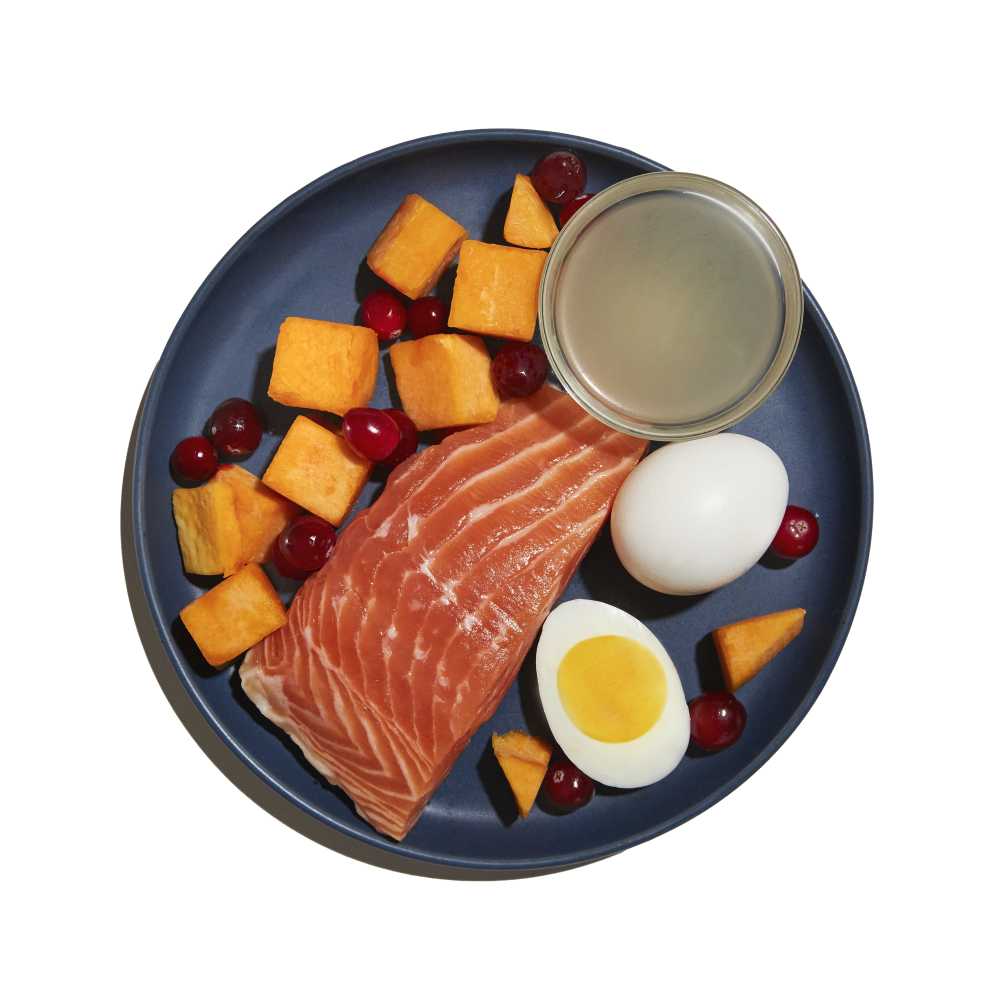 Bone Broth Infused Kibble Sustainably Caught Salmon & Pumpkin Recipe 